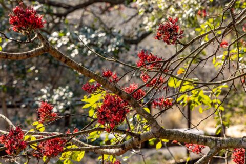 Moving into spring at Kusudalweni